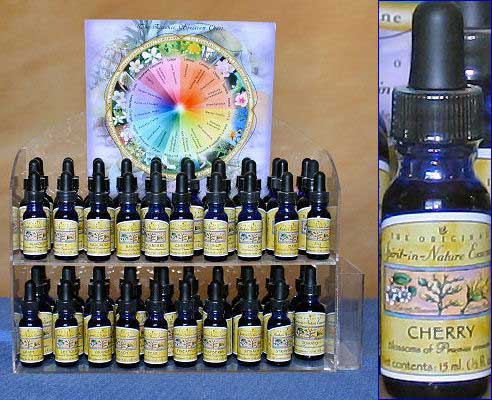 Image showcasing bottles of the various flower essences available for purchase at Journey to Healing