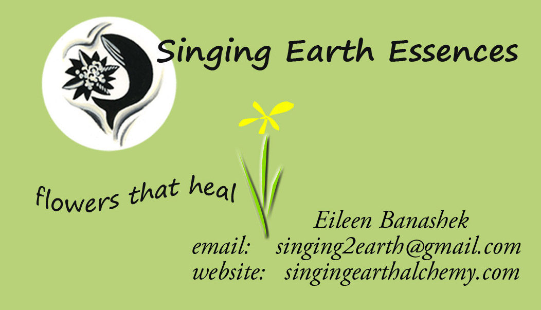 Singing Earth Alchemy