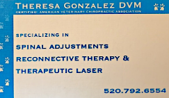 Theresa Gonzalez, DVM - business card